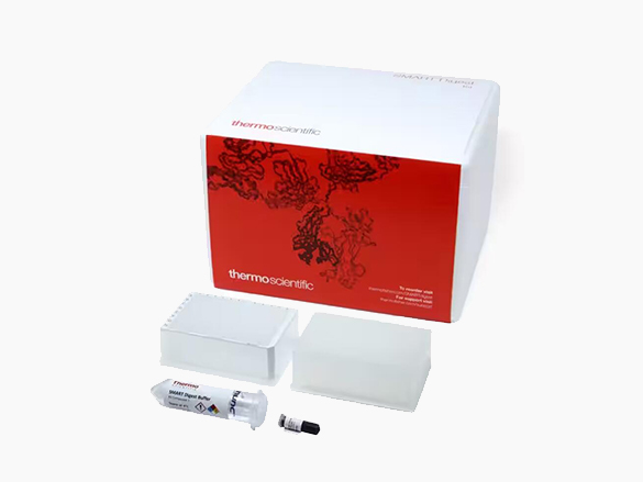 冻存管-赛默飞SMART Digest™ RNase Kits